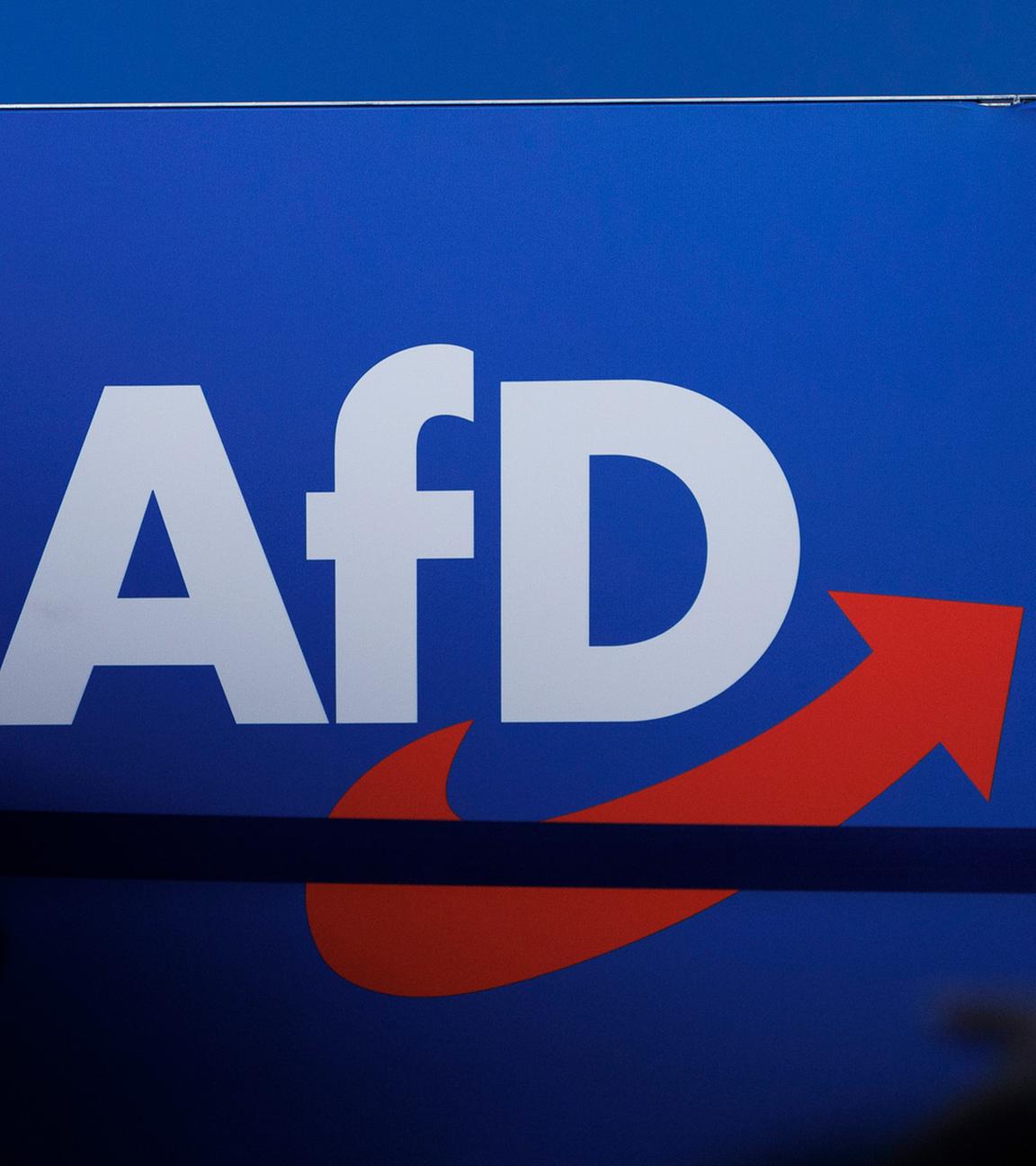  Delegierte gehen vor dem Parteilogo bei dem AfD-Bundesparteitag in Magdeburg. (Archiv)