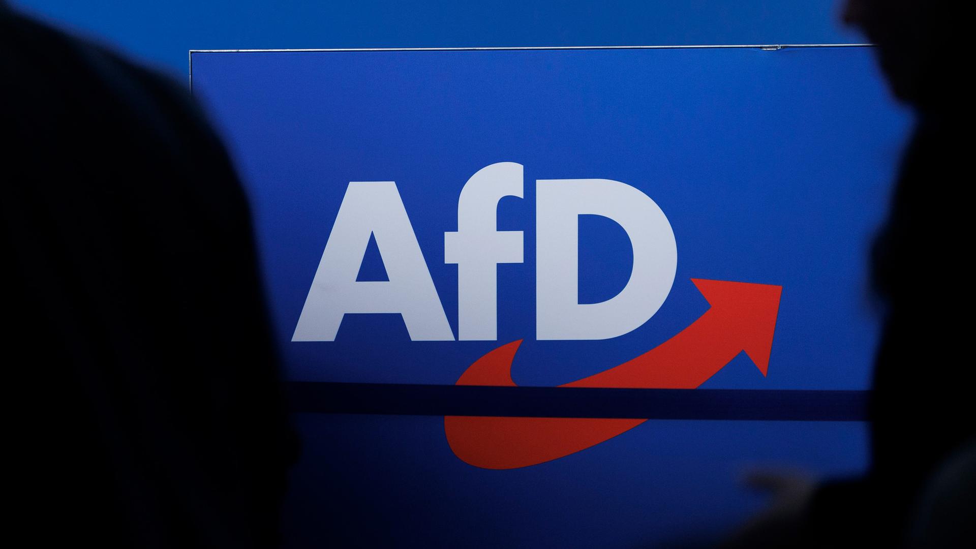  Delegierte gehen vor dem Parteilogo bei dem AfD-Bundesparteitag in Magdeburg. (Archiv)