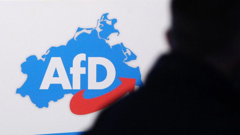 AfD Mecklenburg-Vorpommern, Logo