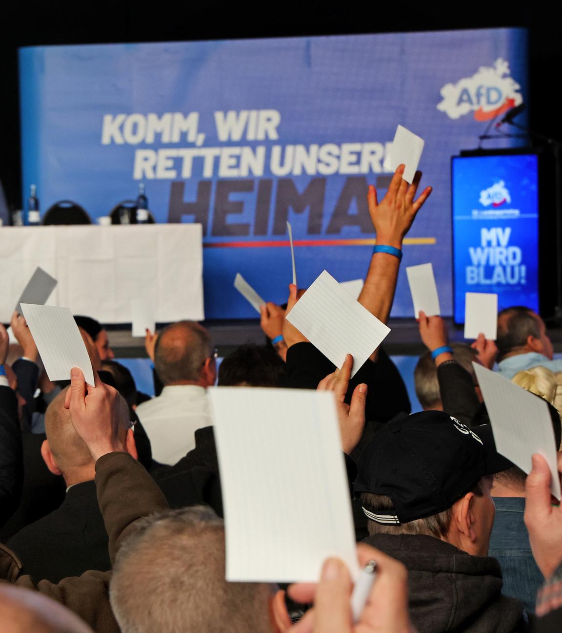 Abstimmung zum Auftakt des AfD-Landesparteitages