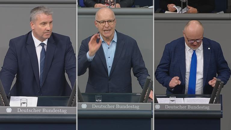 AFD Mitglieder im Bundestag