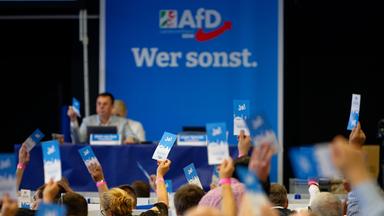 Delegierte stimmen beim Aufstellungsparteitag der AfD ab und halten Stimmkarten hoch.