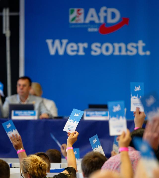 Delegierte stimmen beim Aufstellungsparteitag der AfD ab und halten Stimmkarten hoch.