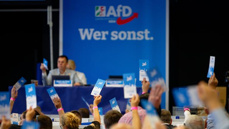 Delegierte stimmen beim Aufstellungsparteitag der AfD ab und halten Stimmkarten hoch.
