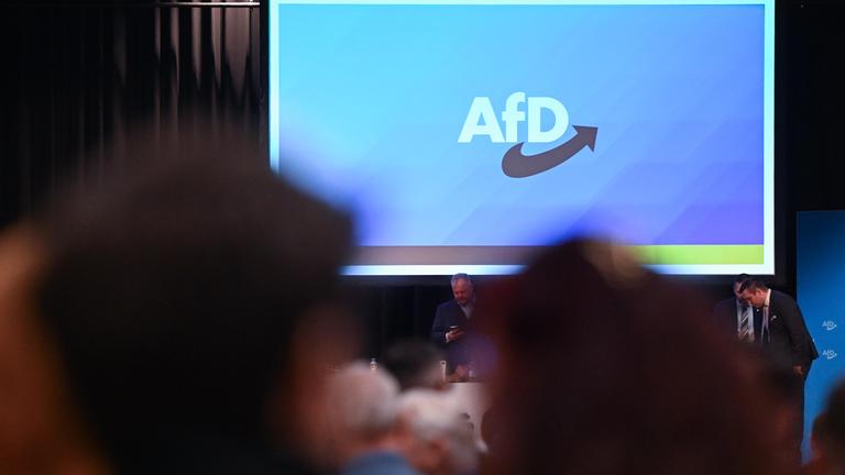 AfD-Parteilogo beim Landesparteitag - 2024