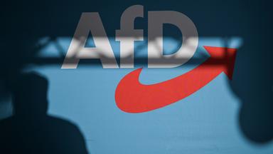 Symbolbild: AfD-Parteilogo
