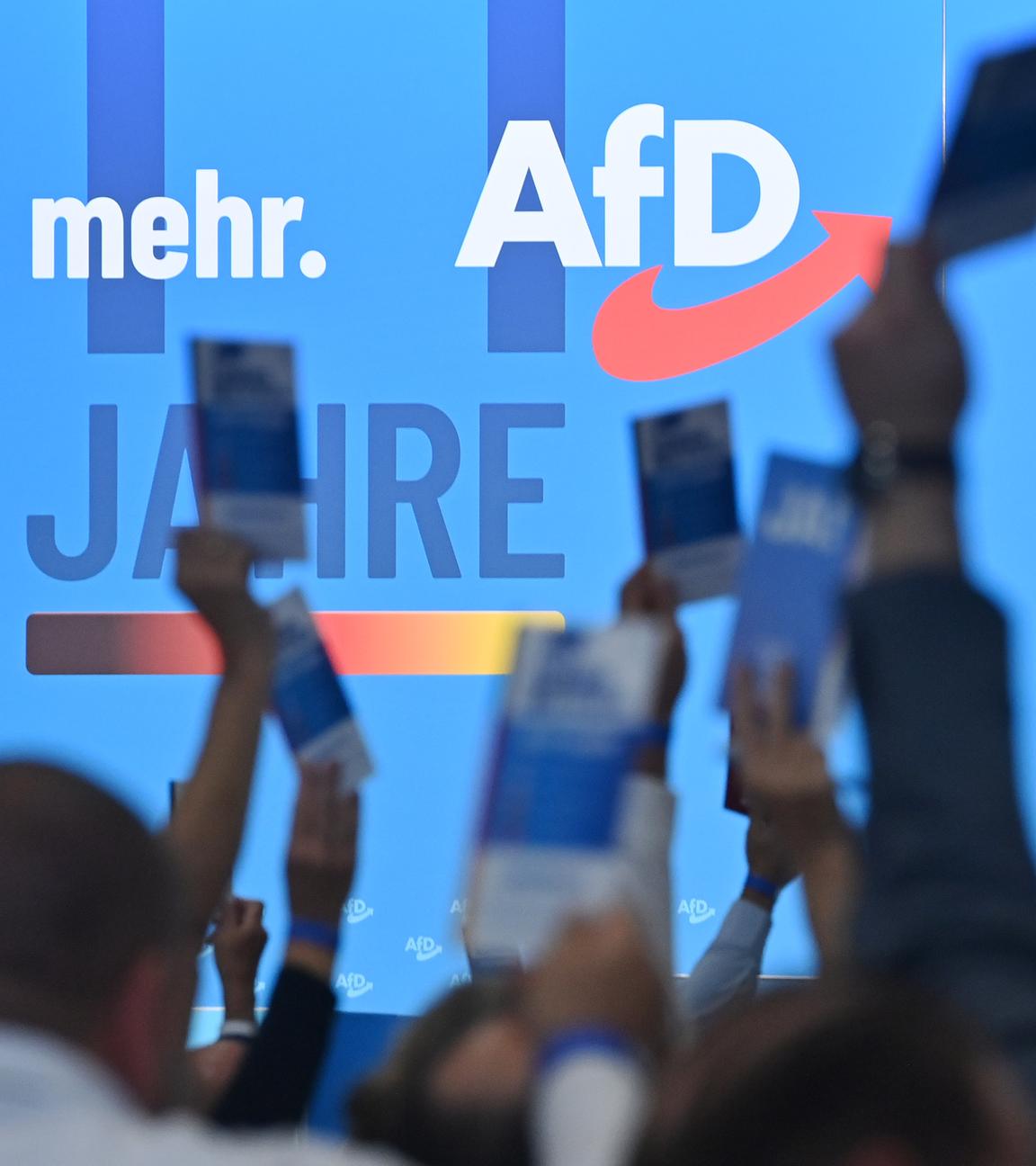 14. AfD Parteitag 2023 in Magdeburg