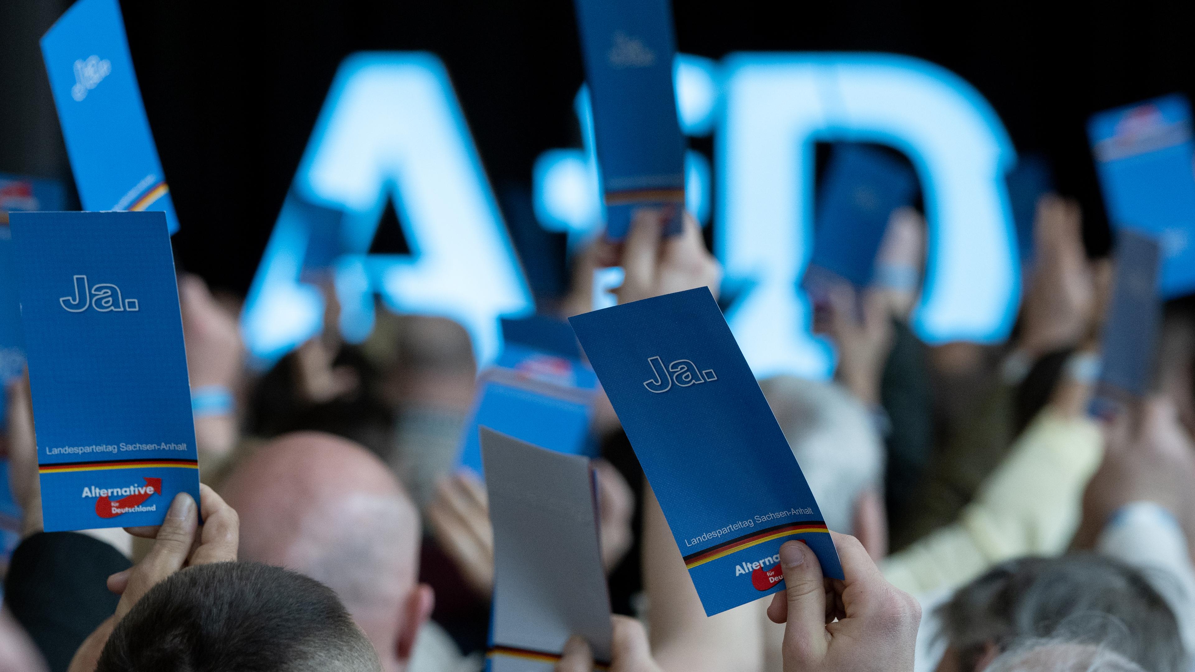 AfD-Delegierte 