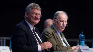 Gauland und Meuthen auf AfD Parteitag