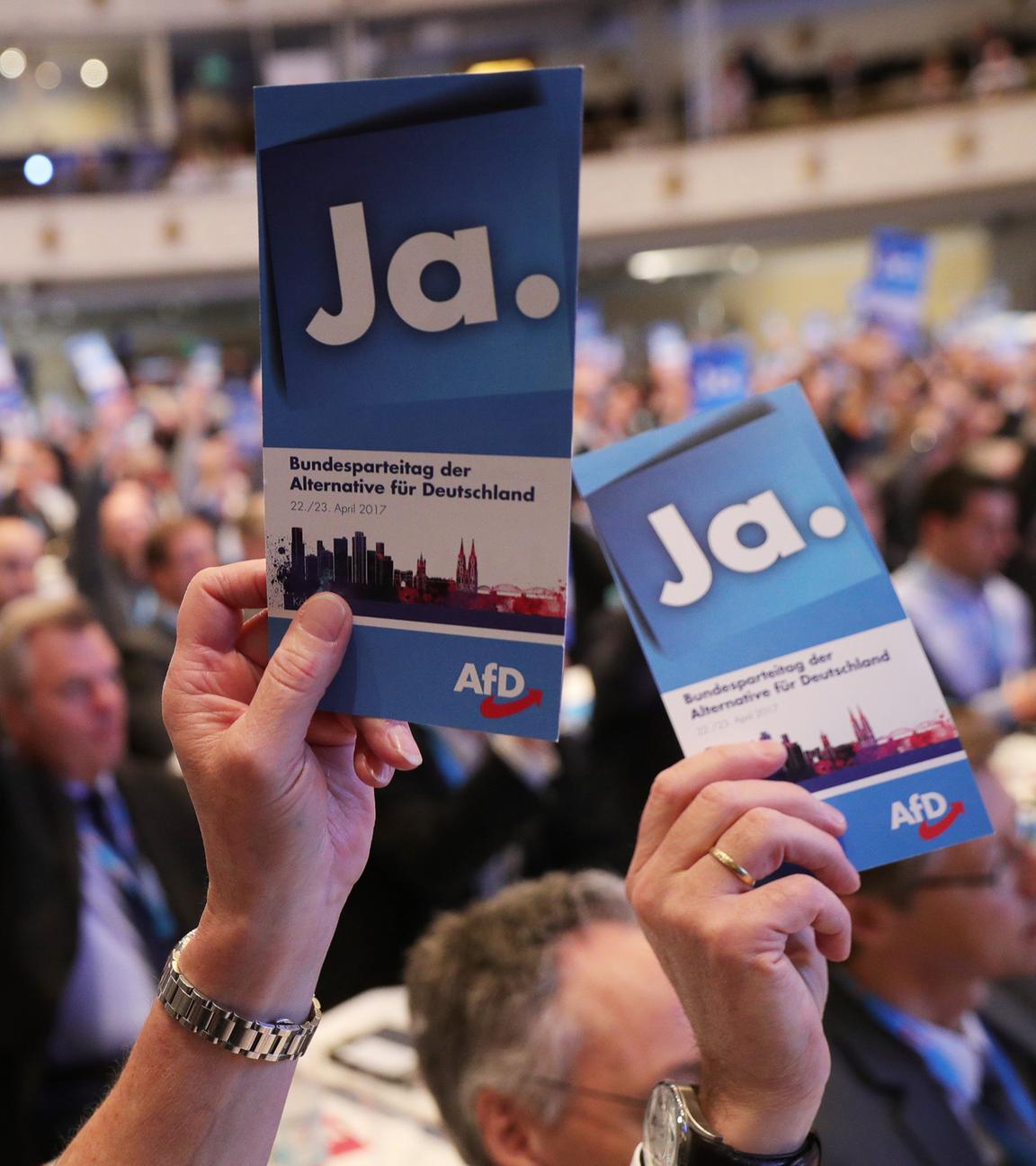 Delegierte auf AfD-Parteitag halten Stimmkarten hoch