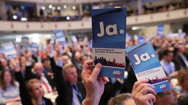 Delegierte auf AfD-Parteitag halten Stimmkarten hoch