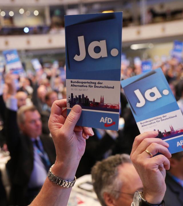 Delegierte auf AfD-Parteitag halten Stimmkarten hoch