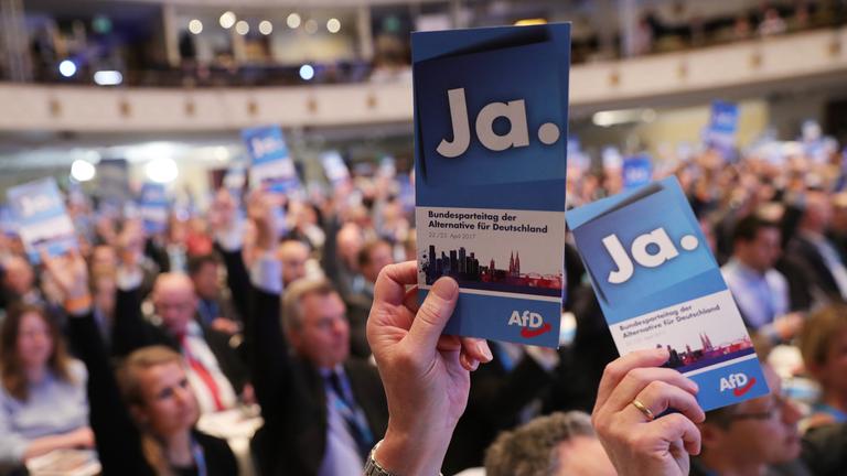 Delegierte auf AfD-Parteitag halten Stimmkarten hoch