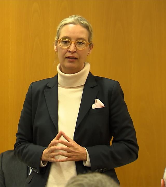 Die AfD vor ihrem Parteitag