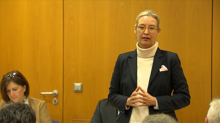 Die AfD vor ihrem Parteitag