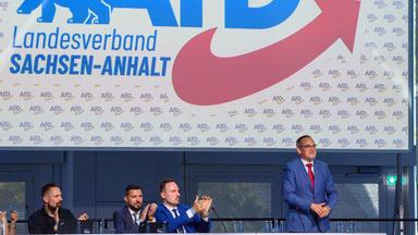 Martin Reichardt (AfD,r), Landesvorsitzender der AfD in Sachsen-Anhalt, steht auf dem Landesparteitag der AfD Sachsen-Anhalt auf der Bühne