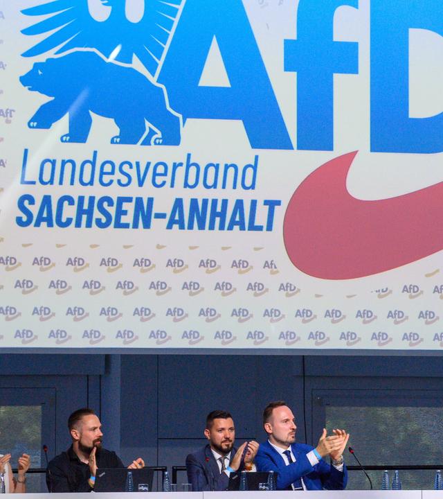 Martin Reichardt (AfD,r), Landesvorsitzender der AfD in Sachsen-Anhalt, steht auf dem Landesparteitag der AfD Sachsen-Anhalt auf der Bühne