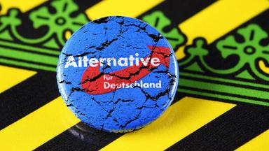 AfD-Button mit Rissen auf dem Wappen von Sachsen