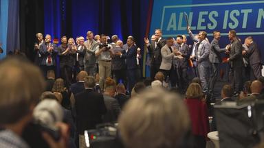 AfD Sachsen-Anhalt