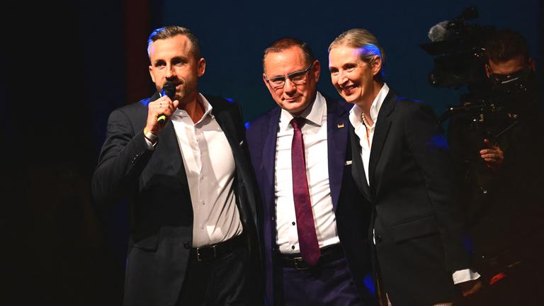 Landtagswahl in Sachsen-Anhalt - Wahlparty AfD
