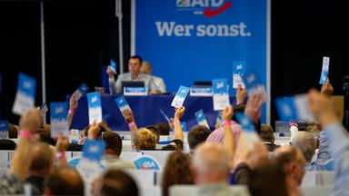 Delegierte stimmen beim Aufstellungsparteitag der AfD ab und halten Stimmkarten hoch.