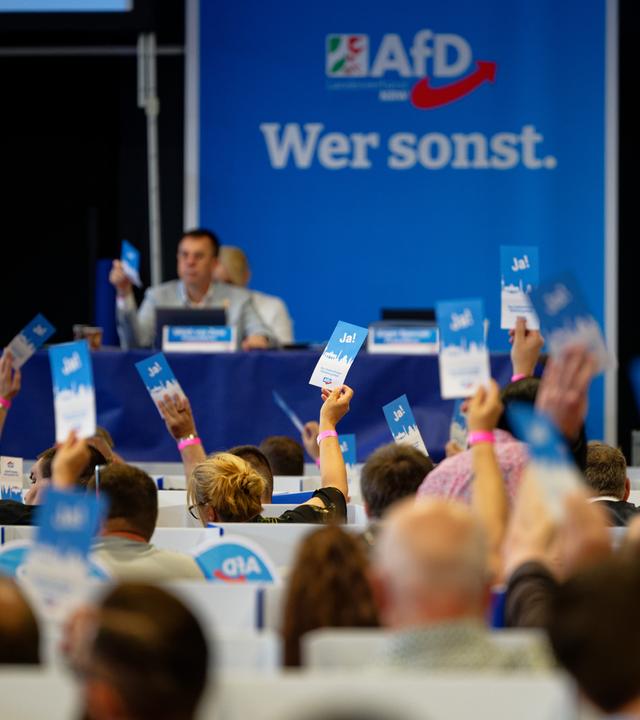 Delegierte stimmen beim Aufstellungsparteitag der AfD ab und halten Stimmkarten hoch.
