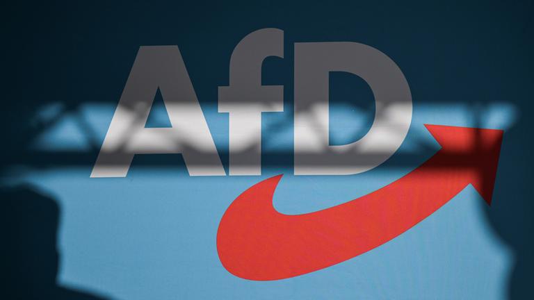 Ein Redner wirft einen Schatten auf die Bühnenrückwand mit AfD-Schriftzug auf einer Veranstaltung. (Archivbild)