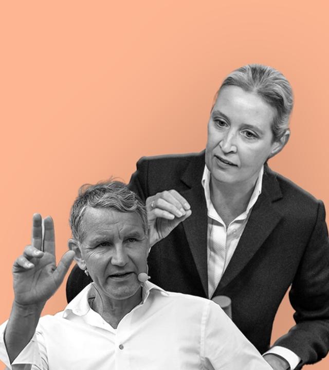 Alice Weidel und Björn Höcke links im Bild, ZDF-Korrespondentin Nicole Diekmann rechts im Bild