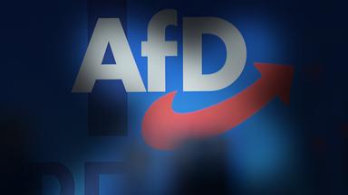 Ein Schatten vor dem Logo der Partei AfD.