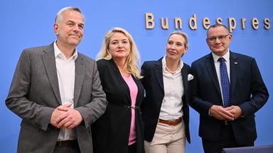 Leif-Erik Holm, AfD-Kandidat in Mecklenburg-Vorpommern, Kristin Brinker, Spitzenkandidatin für Berlin, sowie die AfD-Vorsitzenden Alice Weidel und Tino Chrupalla in der Bundespressekonferenz.