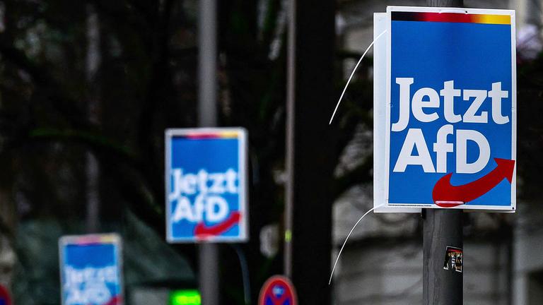 Ein Wahlplakat der AfD in Berlin