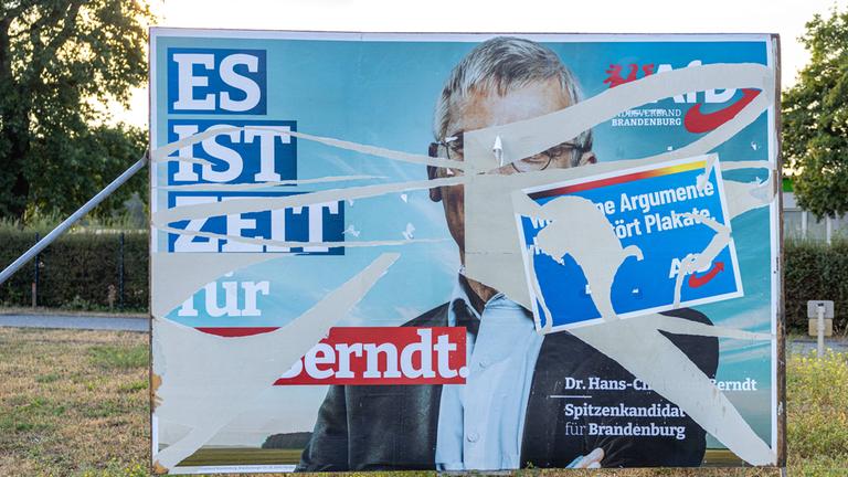 Ein zerissenes Wahlplakat der AfD
