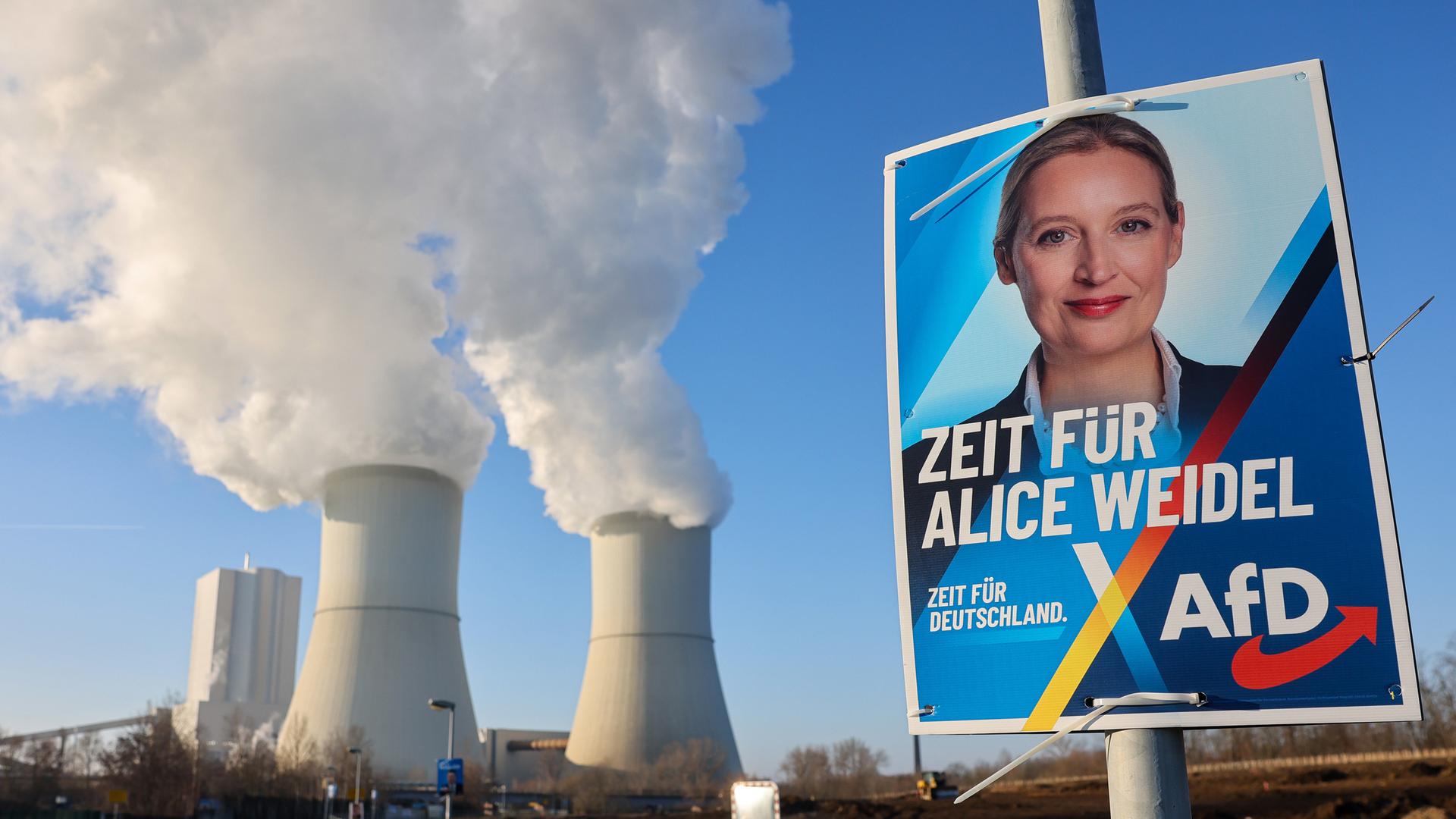 Wahlplakat der AfD