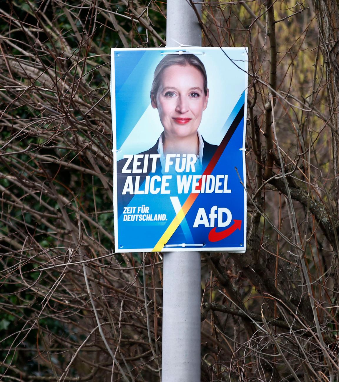 AfD Wahlplakat, Bundestagswahl 2025