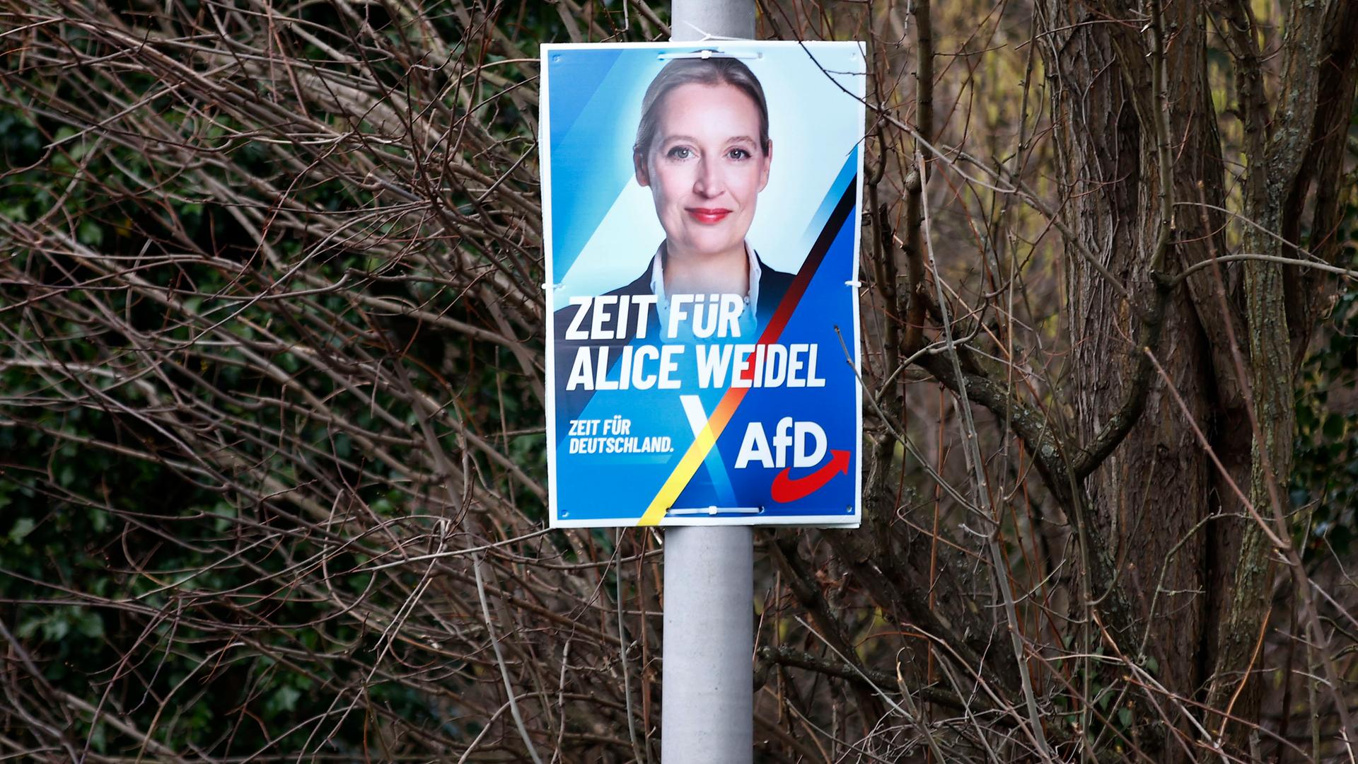 AfD Wahlplakat, Bundestagswahl 2025