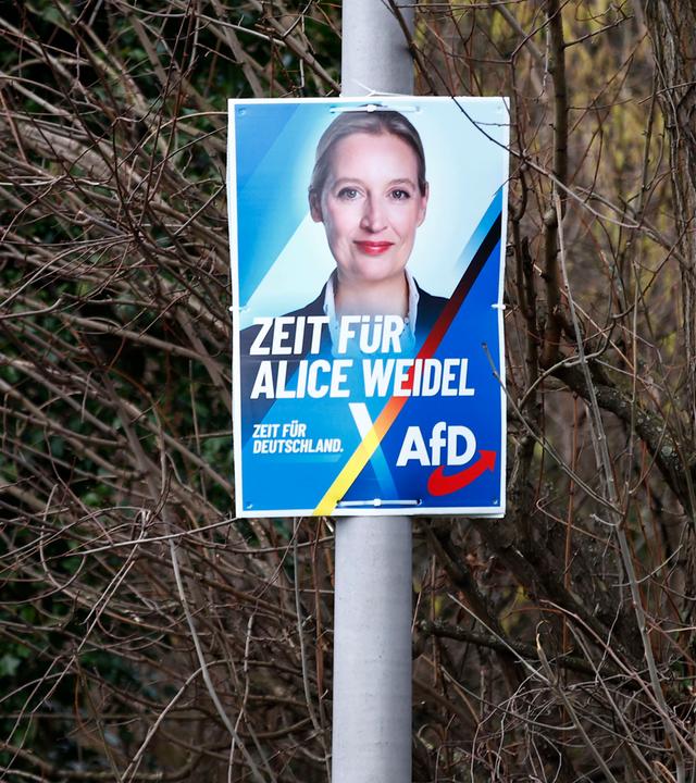 AfD Wahlplakat, Bundestagswahl 2025