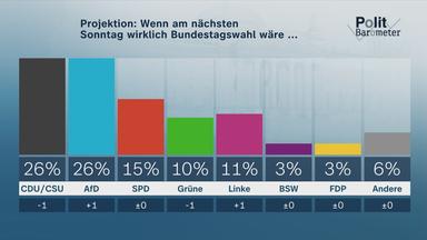 Alice Weidel, wie sie im Bundestag vor einem Podest spricht.