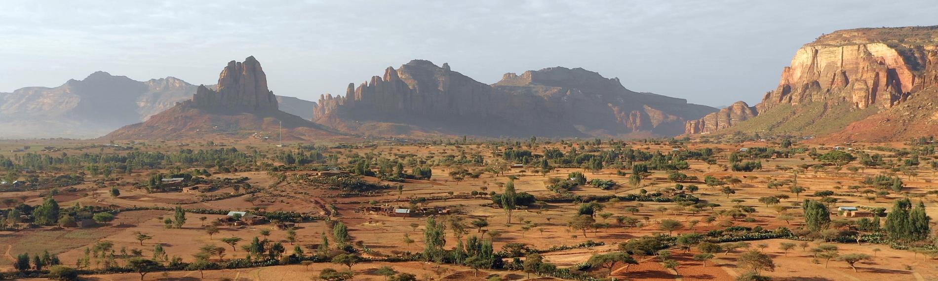Afrikanische Landschaft mit Bergen im Hintergrund.