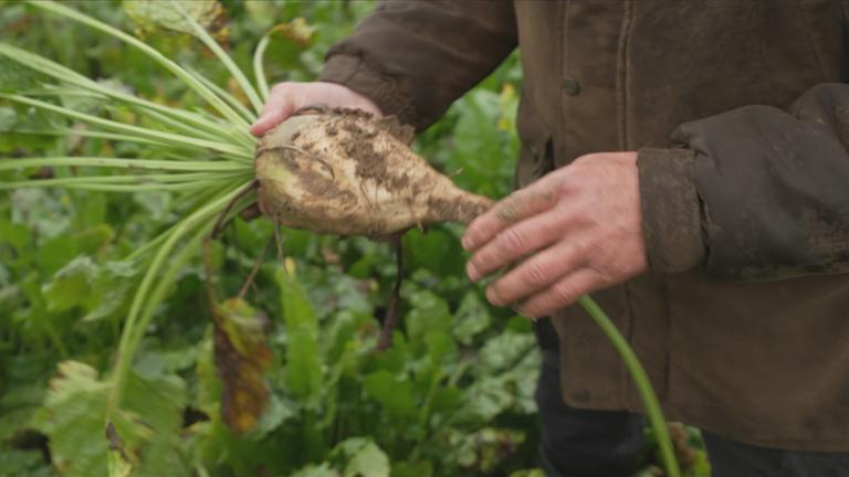 Landwirte sorgen sich um Ernte