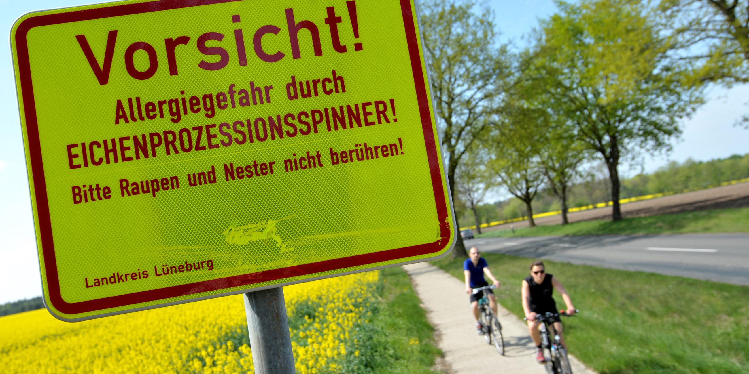 warnschild warnt vor eichenprozessionsspinner