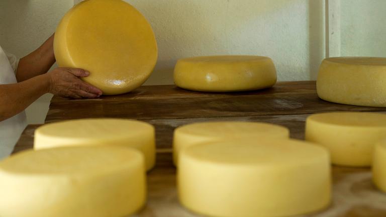 kaeseproduktion im brasilianischen bundesstaat minas gerais