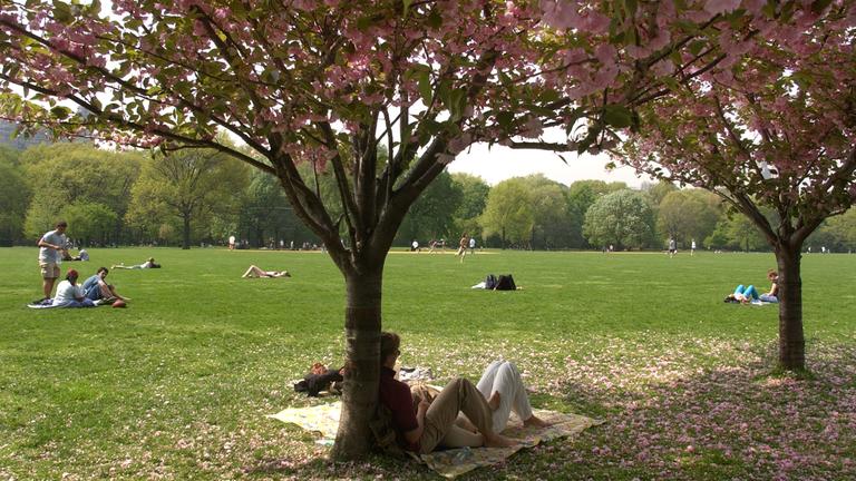 entspannen im central park in new york