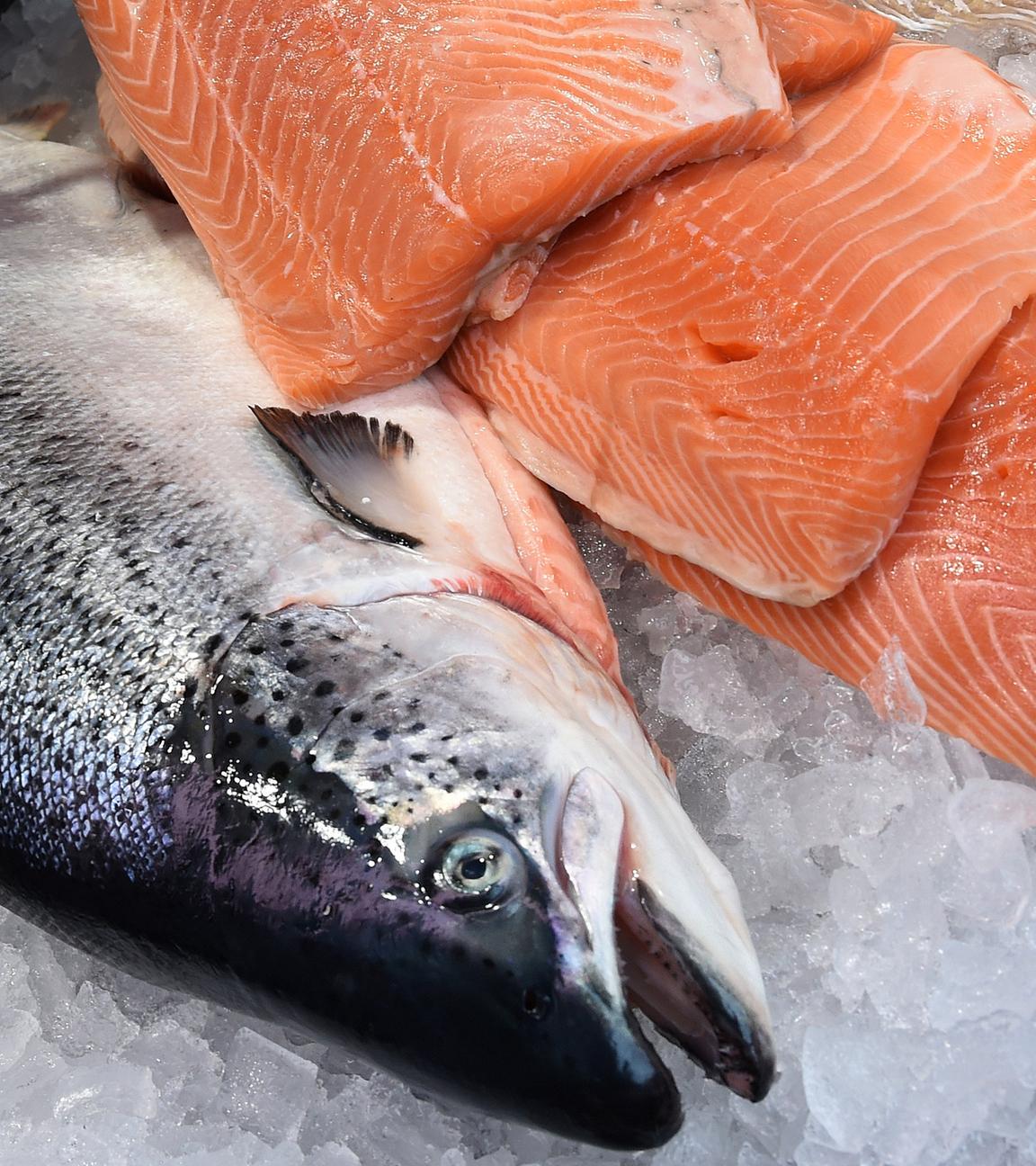 fangfrischer lachsfisch auf eis