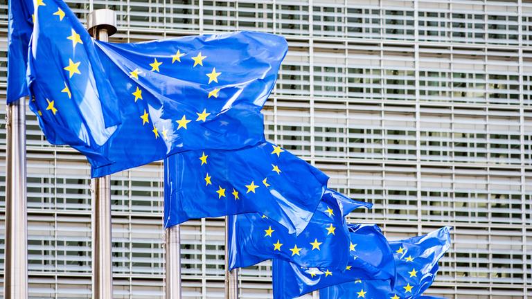 wehende flaggen der eu