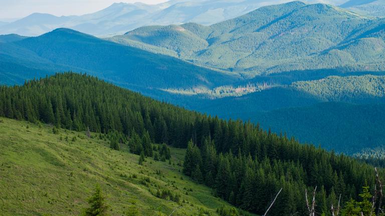 berge der karpaten im sommer