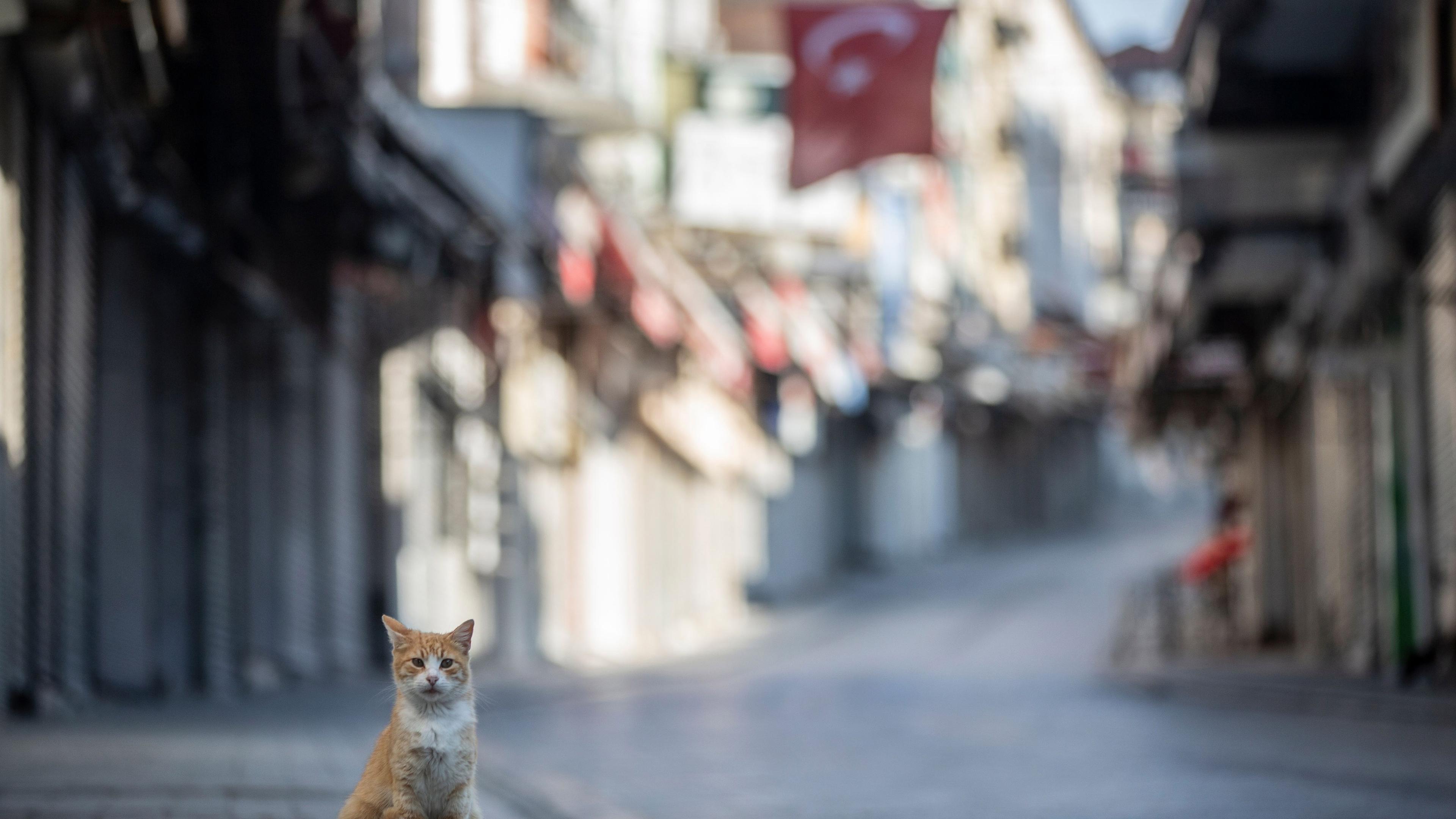menschenleere strasse in istanbul