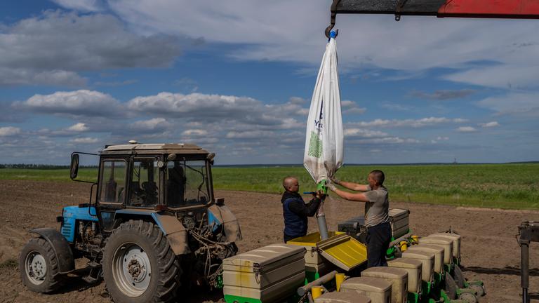 Bauern bereiten Aussaat von Sonnenblumen vor
