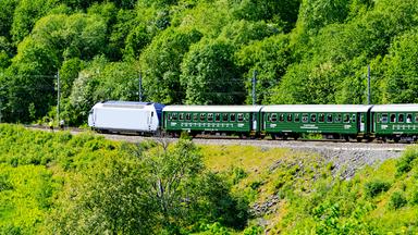 Eisenbahn fährt durch grüne Landschaft
