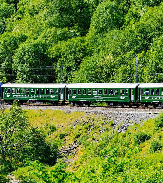 Eisenbahn fährt durch grüne Landschaft