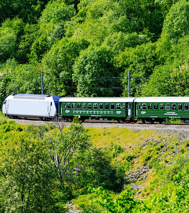 Eisenbahn fährt durch grüne Landschaft